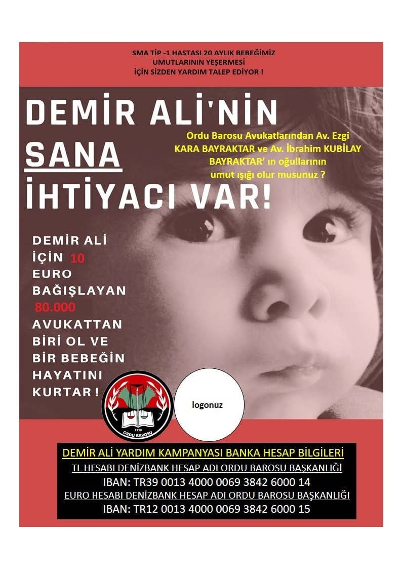 Demir Ali Yürümek İçin Yardımlarınızı Bekliyor! - 1