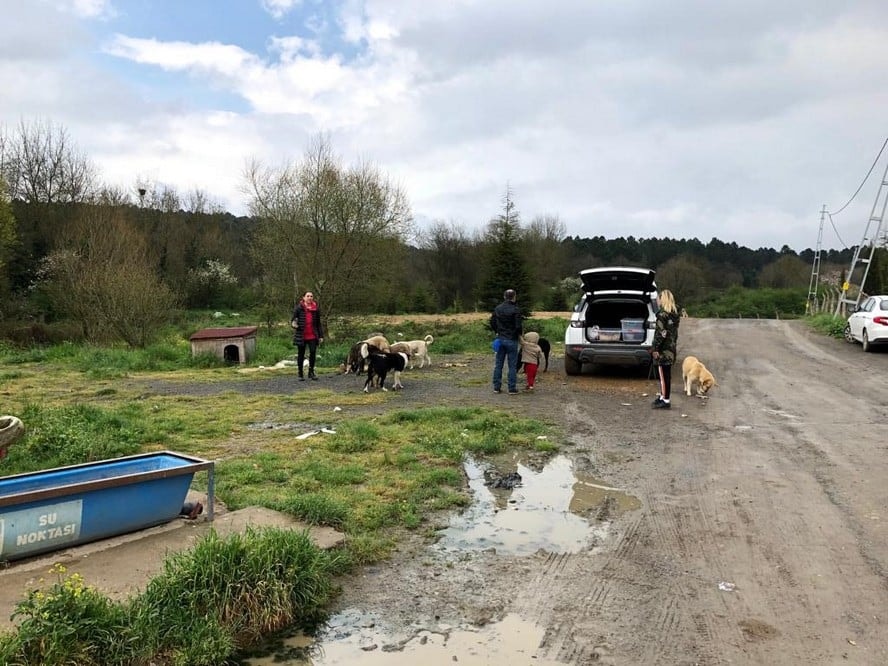 Satın Alma Sahiplen! - 25