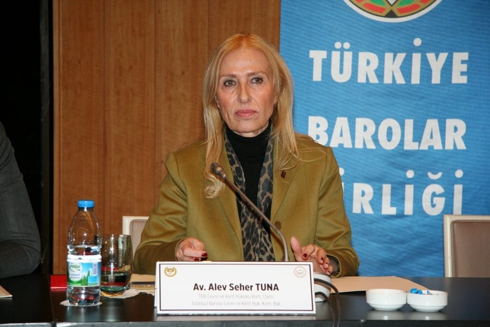 Anayasa Değişikliğinin Çevre Hukukuna Etkileri - 29