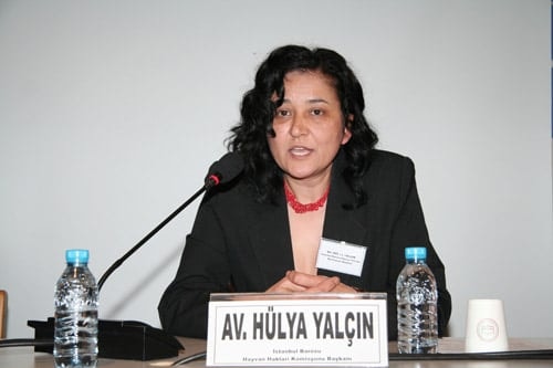 Hayvanların Yaşama Hakkı  İnsan Haklarımıza Dâhildir - 37