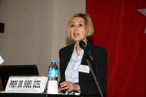 Ab -Türkiye Geri Kabul Anlaşması Ve Vize Serbestîsi

 - 11