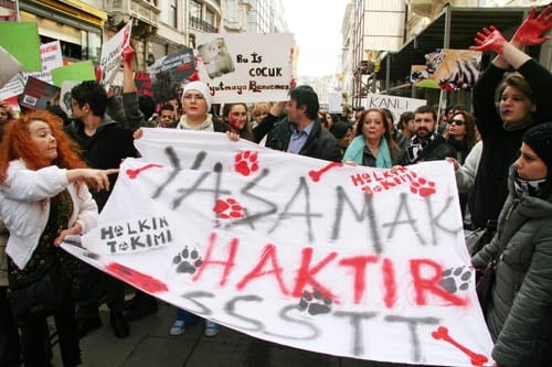 Hayvanseverler Yaşam Hakkı İçin Yürüdü

 - 38