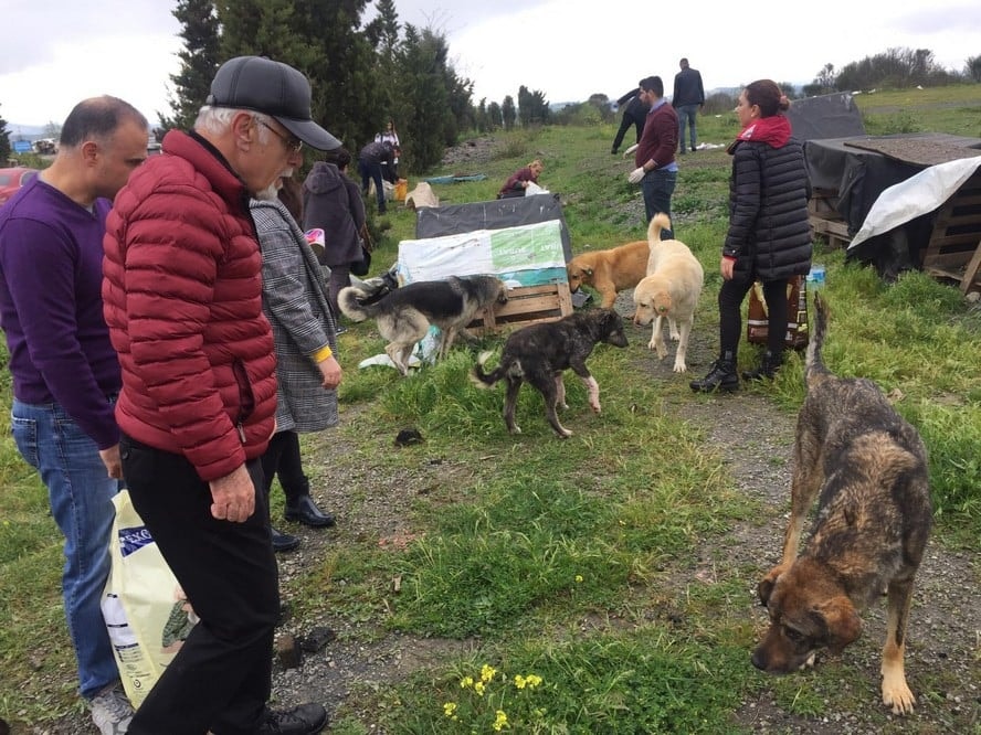 Satın Alma Sahiplen! - 9