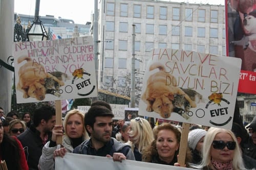 Hayvanseverler Yaşam Hakkı İçin Yürüdü

 - 6