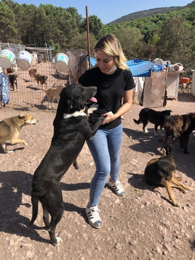 Dünya Hayvanları Koruma Günü - 35