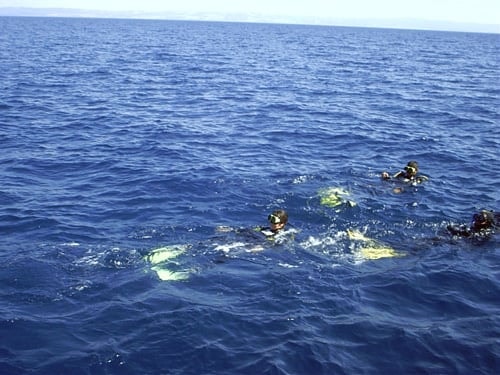 Saroz’Da Dalış Keyfi - 3