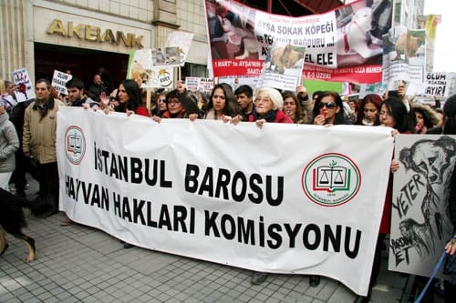 Hayvanseverler Yaşam Hakkı İçin Yürüdü

 - 34