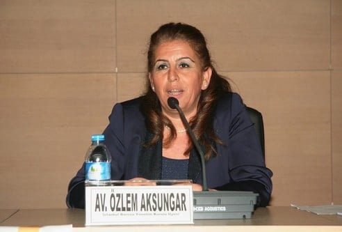 İdari Muhakemede Adalete Erişim Ve Adli Yardım Hakkı

 - 10