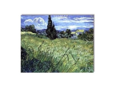 Resim Ve Fotoğraf Sergisi Açılacak