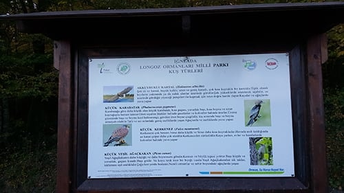 İğneada’Da Yapılacak Nükleer Santrala Karşı Protesto Eylemi
 - 5