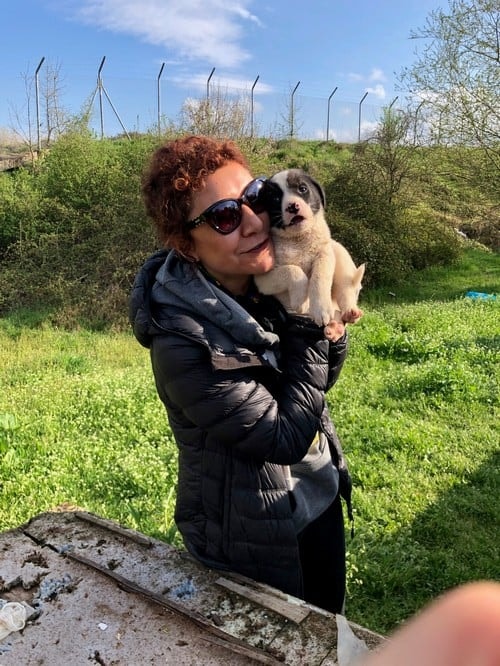 Satın Alma Sahiplen! - 64