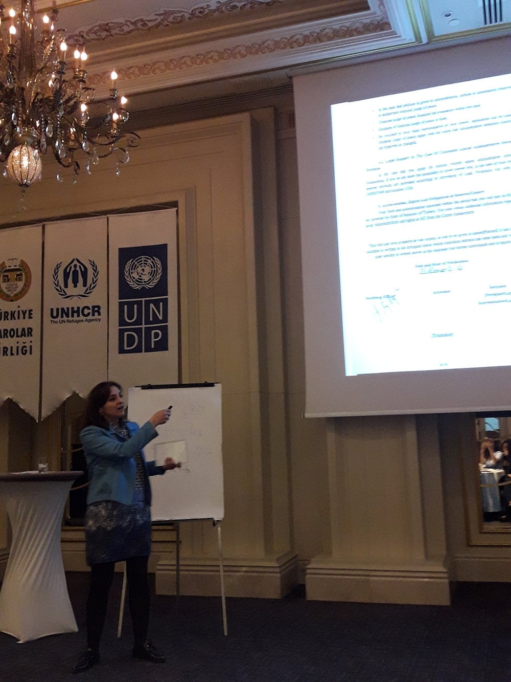 Müllteci Hukuku ve Kırılgan Gruplara Hizmet Sunan Avukatlara Yönelik Sertifikalı Davranış Eğitimi - 5