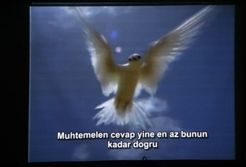 Hayvan Haklarına İlişkin Belgesel Film Gösterimi - 7