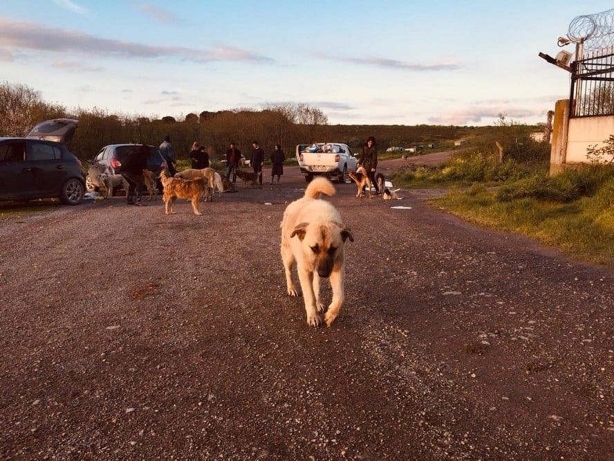 Satın Alma Sahiplen! - 6