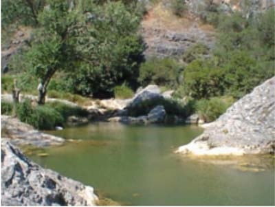 "Stajyer Avukatlar Trekking'e Gidiyor"