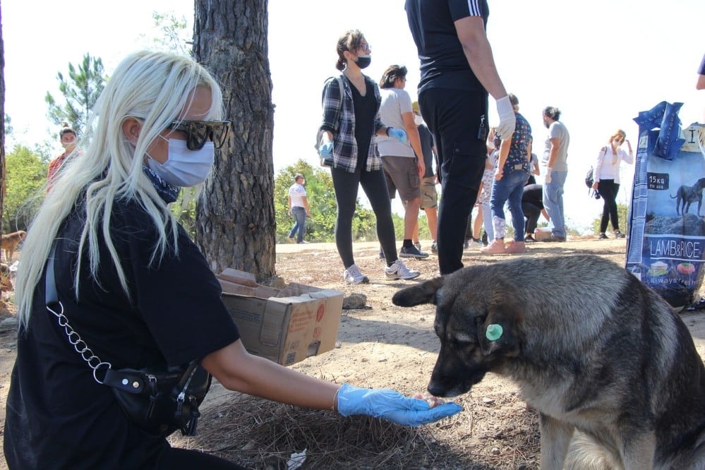 Dünya Hayvanları Koruma Günü - 24