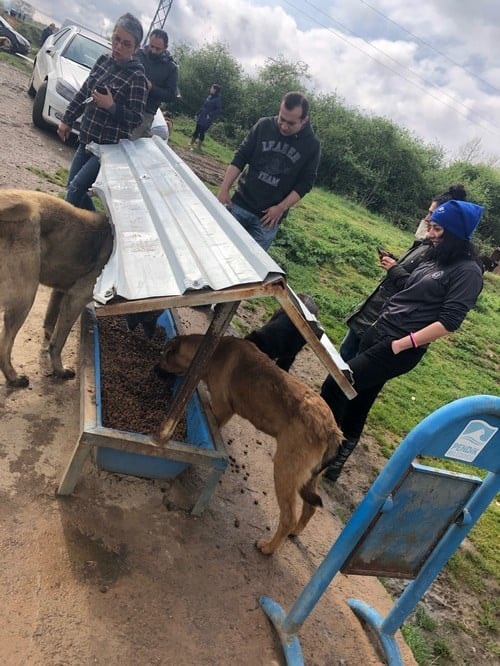 Satın Alma Sahiplen! - 52