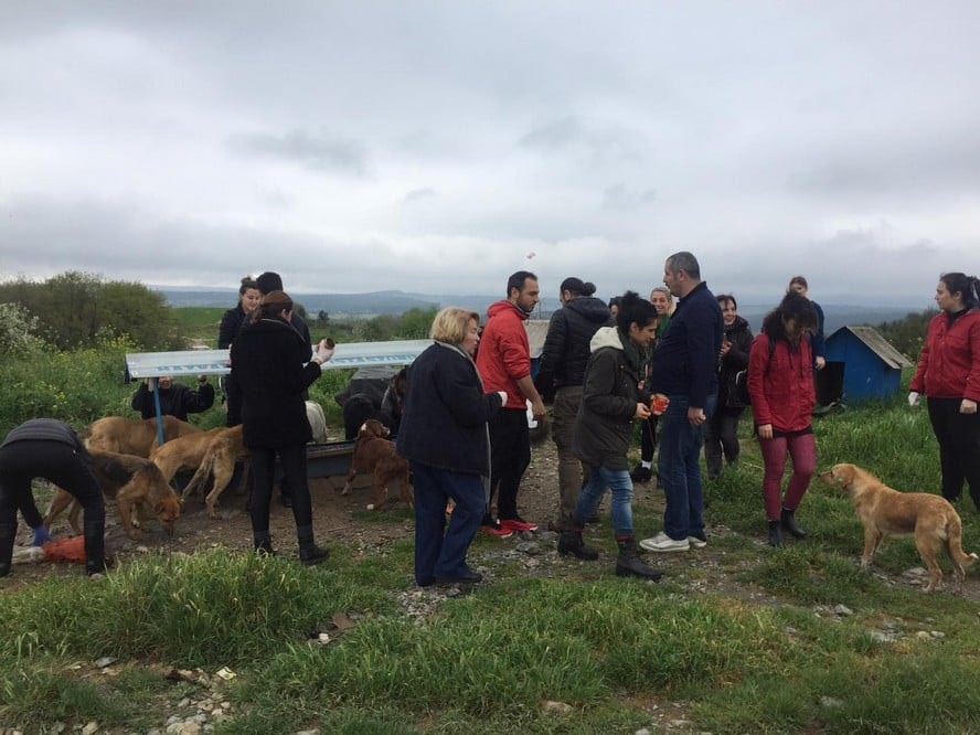 Satın Alma Sahiplen! - 38