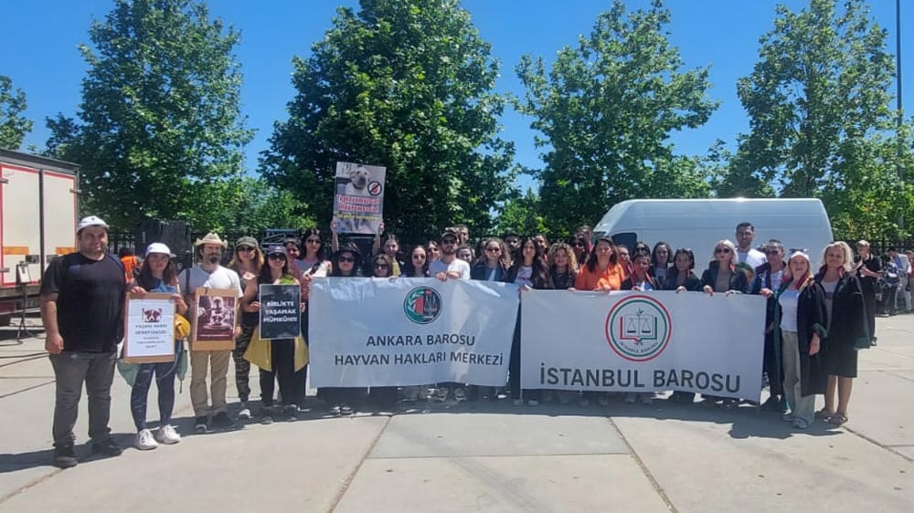 Hayvan, Kadın, Çocuk ve Doğa için Adalet Mitingi'ndeydik - 5