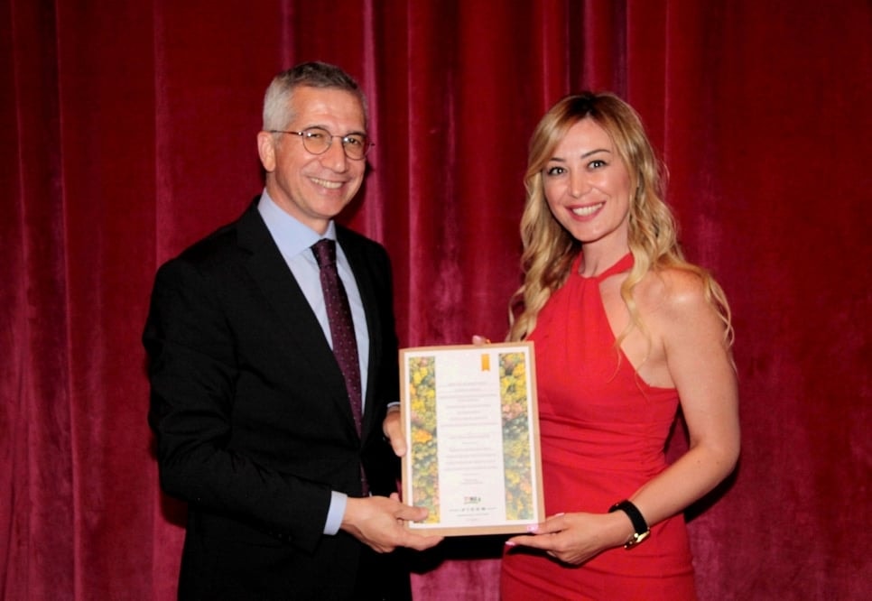 Dezenformasyon Yasasının Hukuki Niteliği ve İnternet Haberciliği - 20