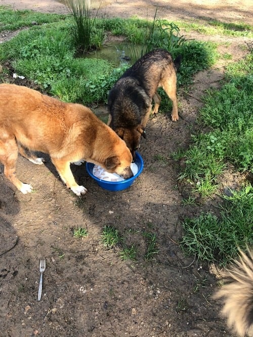 Satın Alma Sahiplen! - 62