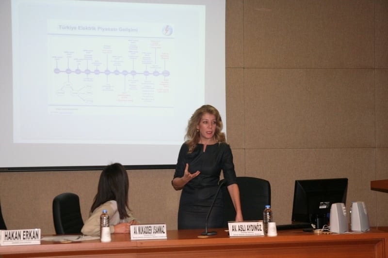 Güneş Enerjisi Mevzuatında Son Gelişmeler, Sorunlar, Beklentiler - 31