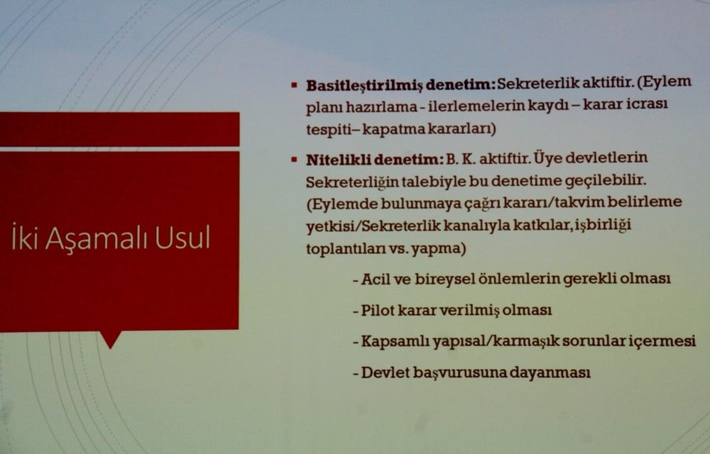 Anayasa Mahkemesi Bireysel Başvuru Kararlarının Yerine Getirilmesi - 88