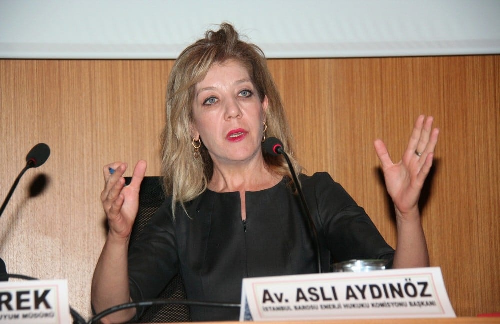 Elektrik Dağıtım Sektörünün Rekabet Hukuku ve Kişisel Verilerin Korunması Açısından Ele Alınması  - 1