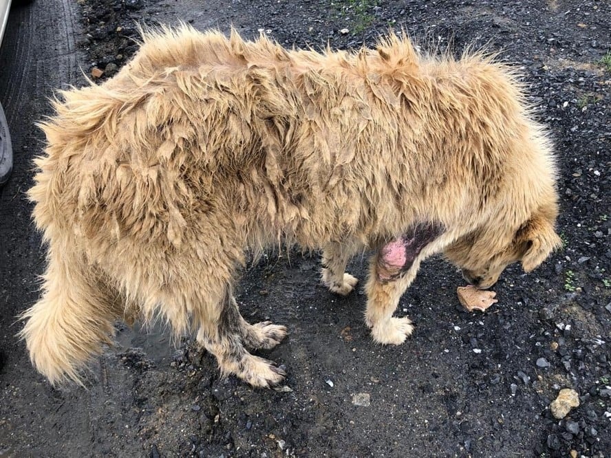 Satın Alma Sahiplen! - 4