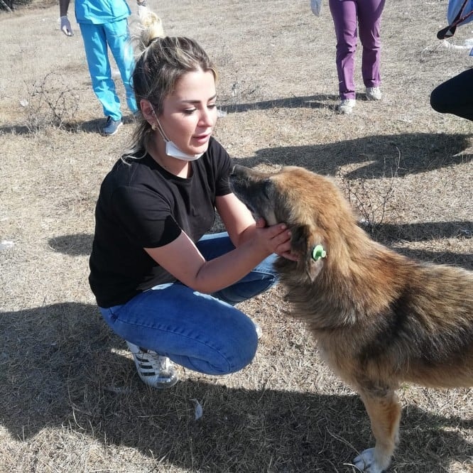 Dünya Hayvanları Koruma Günü - 41