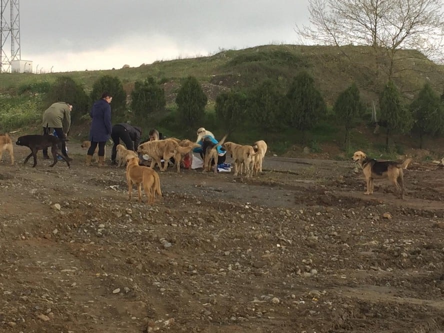 Satın Alma Sahiplen! - 22