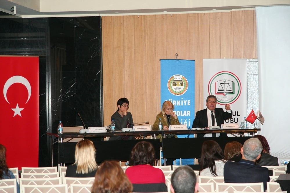 Anayasa Değişikliğinin Çevre Hukukuna Etkileri - 41