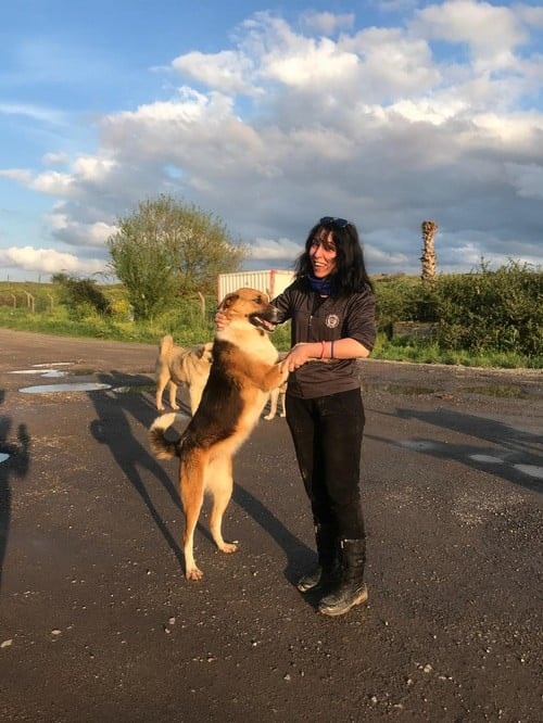 Satın Alma Sahiplen! - 13