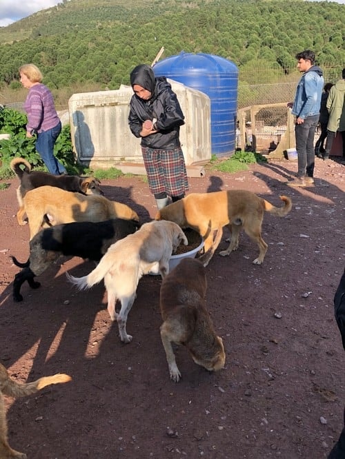 Satın Alma Sahiplen! - 69