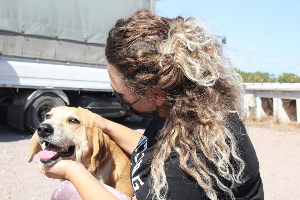 Dünya Hayvanları Koruma Günü - 21