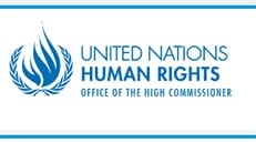 Birleşmiş Milletler (BM) Uzmanları: İstanbul Barosunun kriminalize edilmesi ve yönetim kurulunun görevden alınması kararı, avukatların bağımsızlığına yönelik tüyler ürpertici bir saldırıdır