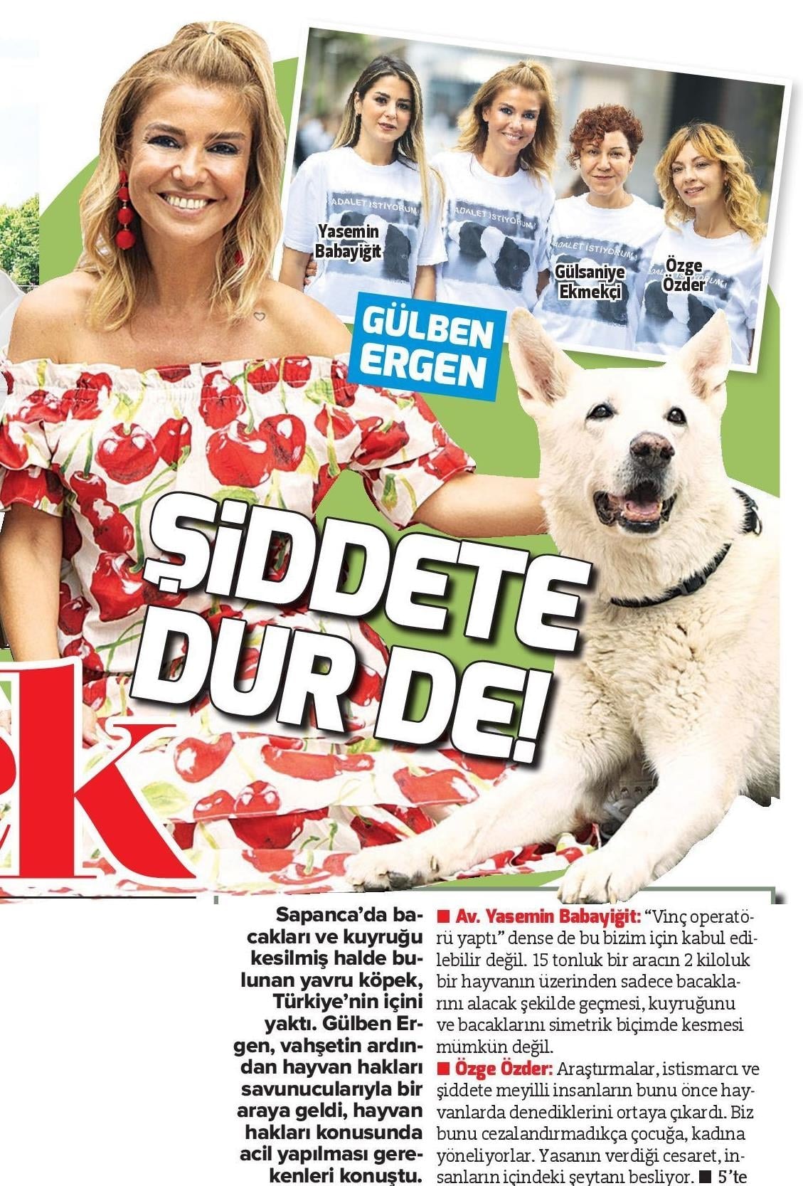 Hapis Cezası Şart - 1