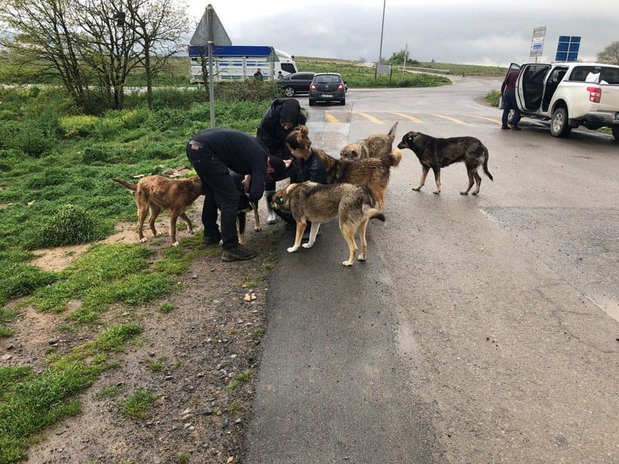 Satın Alma Sahiplen! - 7