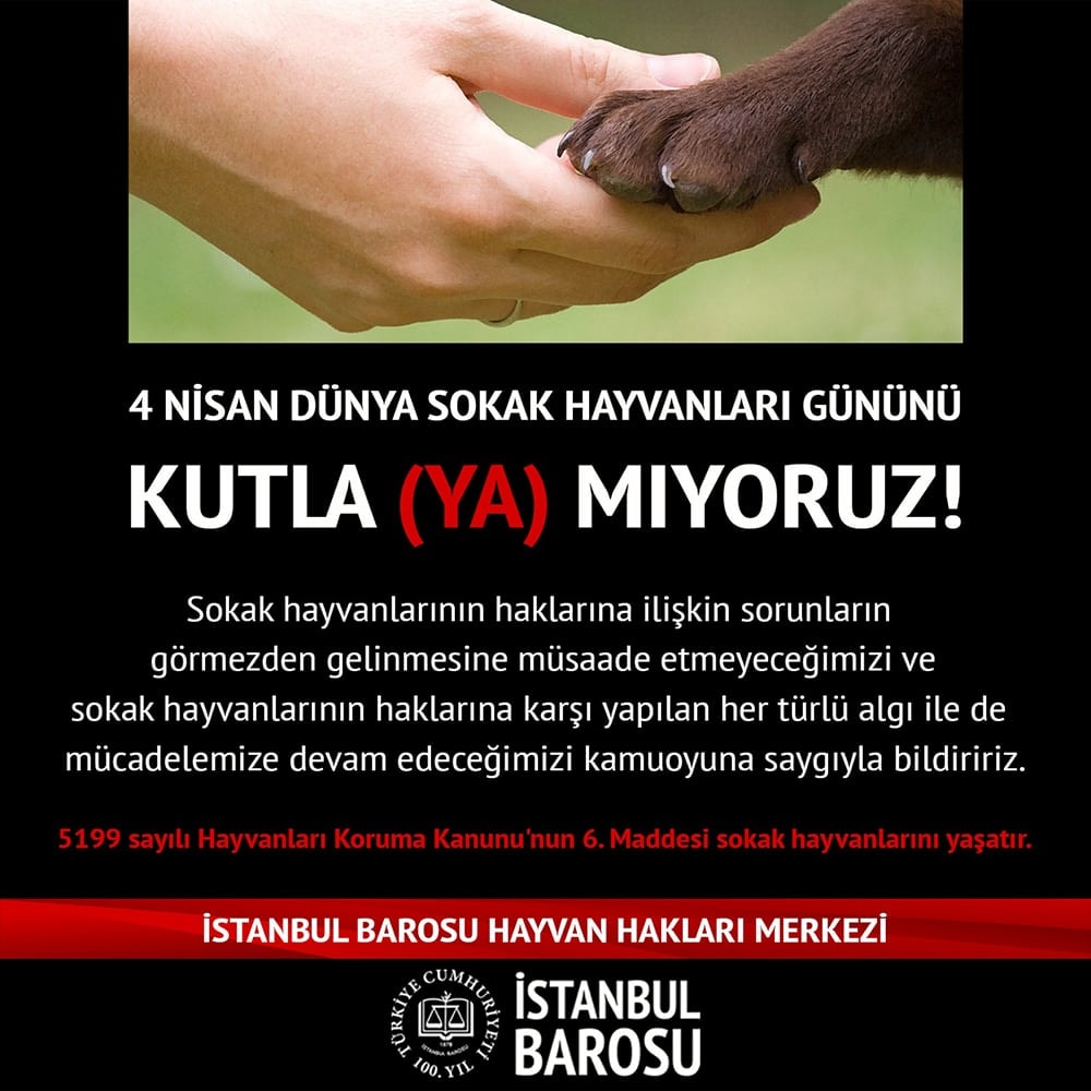 4 Nisan Sokak Hayvanları Gününü Kutla(ya)mıyoruz!