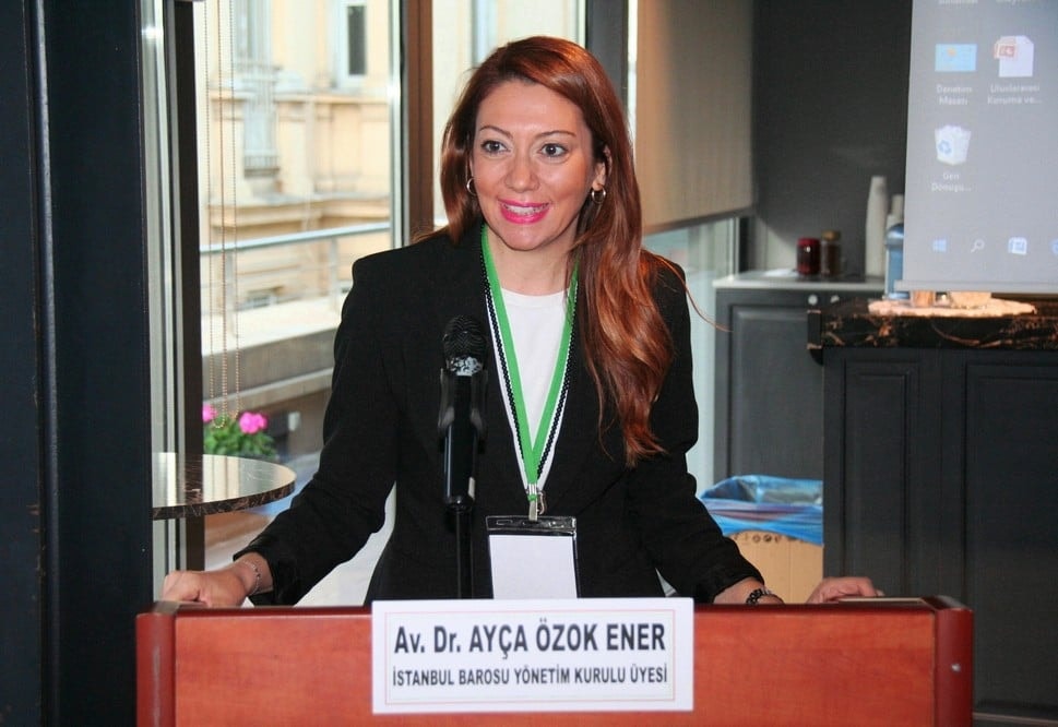 Mülteci ve Göçmen Çocuklar İçin HELP Online kursu - 1