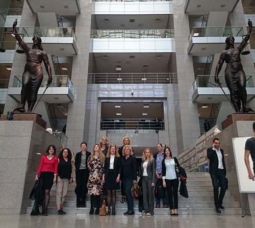 Danimarkalı Avukatlar İstanbul Barosu’Nu Ziyaret Etti
 - 3