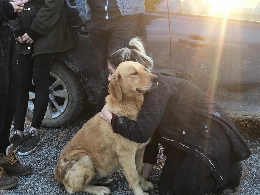 Satın Alma Sahiplen! - 27