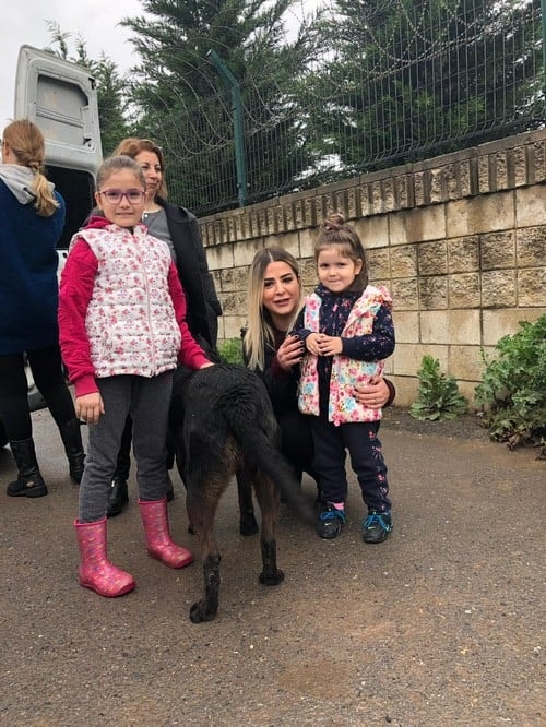 Satın Alma Sahiplen! - 37