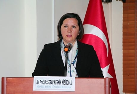 Referandum ve Denetim Mekanizmaları