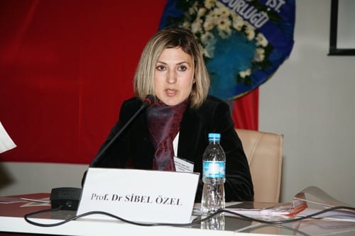 Yabancıların Taşınmaz Edinimlerinde Güncel Tartışmalar

 - 32