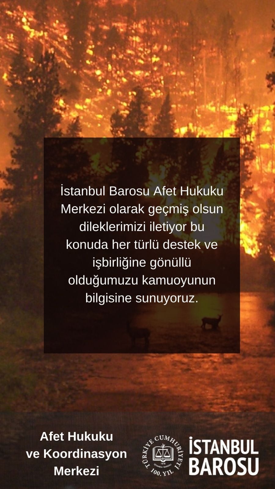 Orman Yangınlarının Önlenmesi İçin Devletin Önlemler Alması, Yurttaşlarımızın Bilinçlenmesi Sağlanmalıdır! - 3