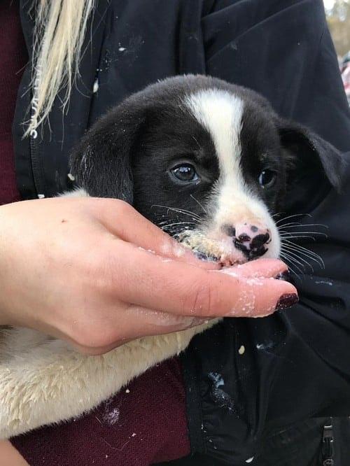 Satın Alma Sahiplen! - 32