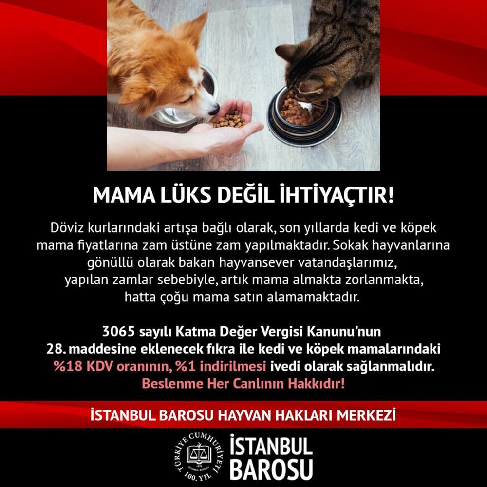 Mama, Lüks Değil; İhtiyaçtır!