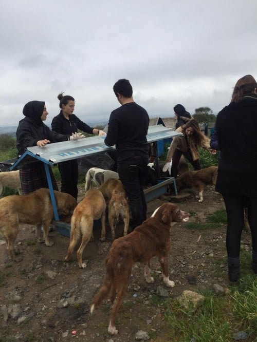 Satın Alma Sahiplen! - 44