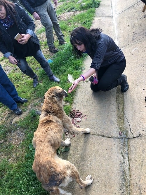 Satın Alma Sahiplen! - 60